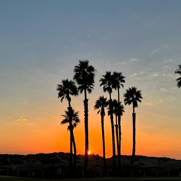 Meet your Posher, Mia - Picture 1 of 1